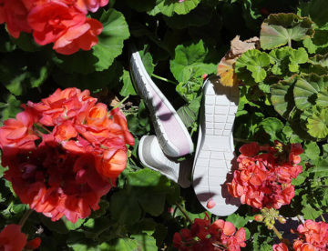 suelas de zapato señora entre flores